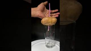 Is It Posible With Straw 🥤  Science DIY amp Crafts shorts viralshort [upl. by Akihdar]