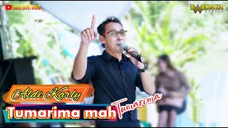 ALDI KARLY  TUMARIMA  IINK KURNIA  BINTANG MUSIC [upl. by Neeluj467]