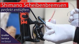 Shimano Scheibenbremse perfekt entlüften  großer Service detailliert erklärt [upl. by Aric]