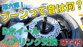 【第六弾！】プーンって音が気になりRホイールベアリング交換【MT09】 [upl. by Inoue287]