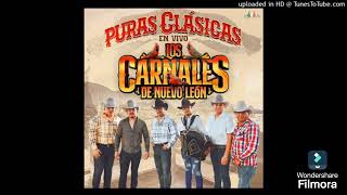 Los Carnales De Nuevo Leon Vs Los Igualados  Mix [upl. by Tamarah]