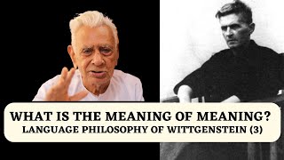 Meaning of Meaning  Language Philosophy of Ludwig Wittgenstein 3  Tractatus LogicoPhilosophicus [upl. by Ardnayek897]