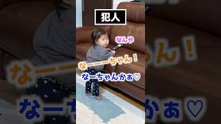 テレビの字幕がオンになってました。犯人はこの方です。赤ちゃん shorts [upl. by Krongold575]