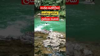 ගාල්ල ඇල්පිටියේ ලස්සන තැනක්Travel With NiroTravelwithnirotravelwithniro travelshorts [upl. by Brew]