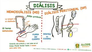 ℹ️ Infografía Hemodiálisis HD Diálisis Peritoneal DP [upl. by Skeie117]