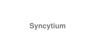 How to Pronounce quotSyncytiumquot [upl. by Ahsitam]