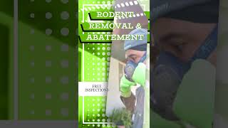 VersaTech Rodent Removal amp Abatement Services for LA County Homes amp Businesses [upl. by Sella]