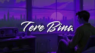 New Hindi Song lofi SlowedReverb Tere bina Lofi Song [upl. by Eydnarb]