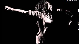 Bob Marley amp The Wailers Live in Minnesota 1976 Full Audio [upl. by Rahs]