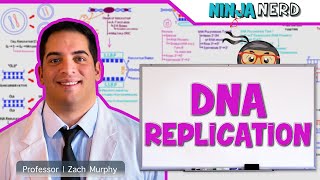 Cell Biology  DNA Replication 🧬 [upl. by Asp]