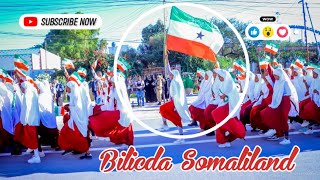 Bilicda Dalka Somaliland Official Video Ibnupoint [upl. by Nnahgem588]