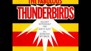 The Fabulous Thunderbirds  CBoys Blues [upl. by Anahsahs]