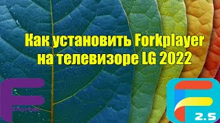 Установка и настройка Forkplayer на LG 2022 [upl. by Ennayr]