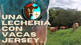 UNA LECHERIA CON VACAS JERSEY [upl. by Sheryle]