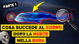 Cosa succede al corpo dopo la morte nella bara Fenomeni cadaverici Algor Livor e Rigor Mortis [upl. by Sitto]