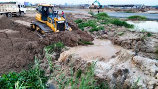 Incredible New Project Dozer Push Sand amp Cleaning Land  Dump truck Unloading With Skill Operator [upl. by Thebault]