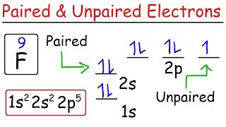 How To Determine The Number of Paired and Unpaired Electrons [upl. by Nycila]