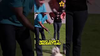 Dog using teeth dogs animals dogbodylanguage doglover dogmanners pets dogperson fluentpet [upl. by Harleigh115]