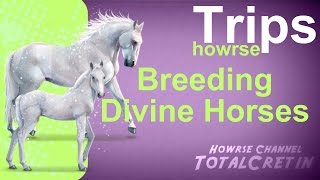 Breeding Divine Horses  Howrse Trips [upl. by Acilegna749]