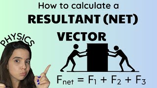 Resultant vector  Vector addition Grade 10 Physics [upl. by Annuaerb]