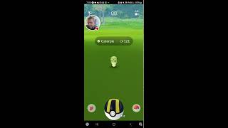 Caterpie Weedle amp Wurmple Spotlight Hour [upl. by Sateia]