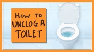 How to Unclog a Toilet [upl. by Omlesna]