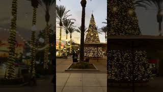 California Christmas christmasdecoration [upl. by Aicenev198]