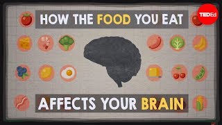 How the food you eat affects your brain  Mia Nacamulli [upl. by Linzy850]