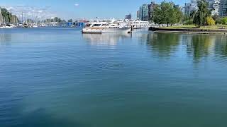 20240701 Devonian Harbour Park Vancouver Canada 2 [upl. by Washko]