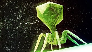 Decoding The Deadliest Living Things On Earth Viruses  Documentary [upl. by Follansbee]