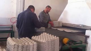 egg tray machineegg tray making machineegg tray production line sold in Algeria [upl. by Ylatan]