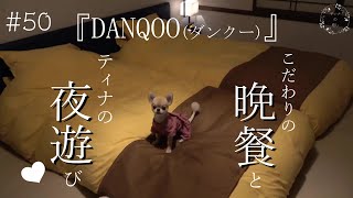 【犬旅行】『DANQOOダンクー』のこだわりの夜ご飯と、ティナお部屋での過ごし方♪2022年12月21日オープン南房総の隠れ家♪【ティナ】 [upl. by Aisanat]