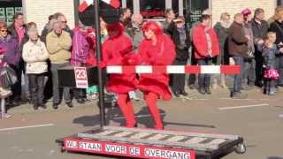 Zevenaar Carnavalsoptocht 2014 [upl. by Ardnuahc]