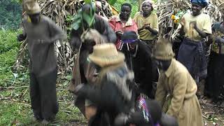 Batwa Experience in Uganda [upl. by Patt]