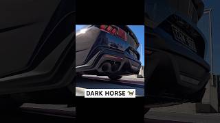 2024 Ford Mustang S650 Dark Horse [upl. by Cralg941]