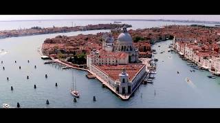 Discover Punta della Dogana [upl. by Filiano]