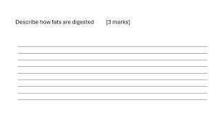 Digestion of fats [upl. by Yasmeen]