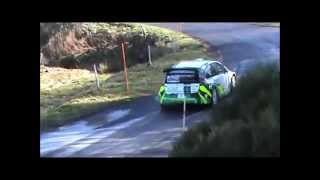 rallye de l Ardèche 2014  crash [upl. by Armallas]