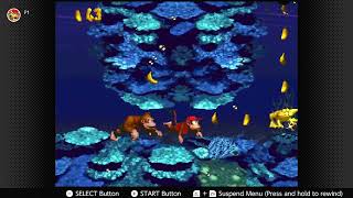 Donkey Kong Country Croctopus Chase [upl. by Asserat]