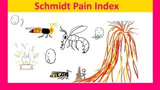 Schmidt Pain Index Bees Wasps Ants And Their Stings [upl. by Latimer]