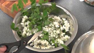 fried acacia flowers  fiori dacacia fritti ♡ [upl. by Reinhold]