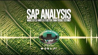 The Power of Sap Analysis in Farming [upl. by Elinore917]