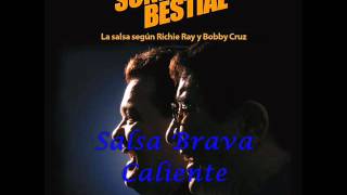 SONIDO BESTIAL  RICHIE RAY amp BOBBY CRUZ [upl. by Leyes]