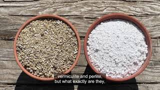 Vermiculite vs Perlite Whats the difference [upl. by Ynottirb38]