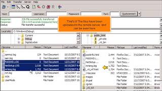 FTP How to Uploadtransfer Files Using FileZilla [upl. by Erickson]