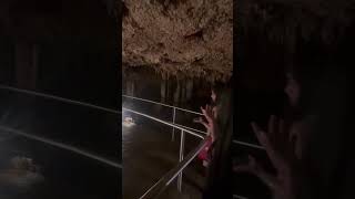 Meramec Caverns St Louis USA [upl. by Garfield]