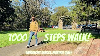 1000 Steps  Kokoda Track Memorial Walk  Dandenong Ranges [upl. by Sigfrid]