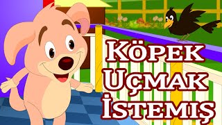 En Popüler 5 Çocuk Şarkısı  Köpek Uçmak İstemiş  Yaramaz Farecik  Parmak Ailesi vb [upl. by Pacien]