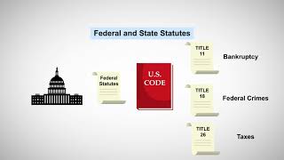 Sources of Law in the United States [upl. by Elma]