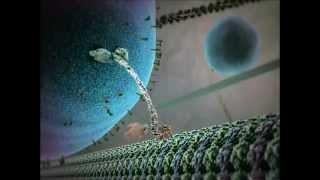 Kinesin protein walking on microtubule [upl. by Coward]